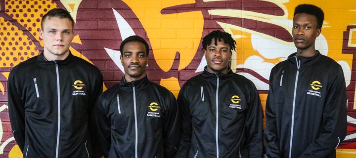 Stingers add size and athleticism to 2017 team.