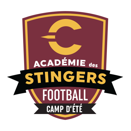 Académie de Football des Stingers Camp d'Été