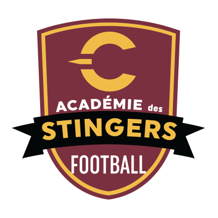 Académie de Football des Stingers