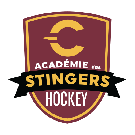 Académie de Hockey des Stingers
