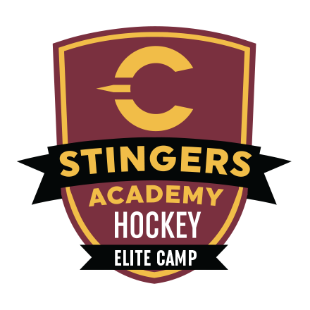 Hockey Academy Elite Camp