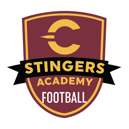 Stingers Football Academy