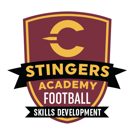 Stingers Football Academy Skills Development Camp