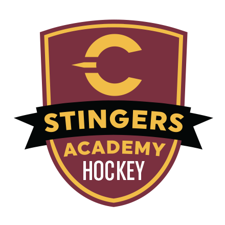 Stingers Men's Hockey Academy