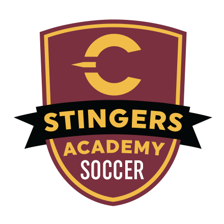 Stingers Soccer Academy