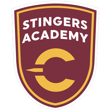 Hockey Academy