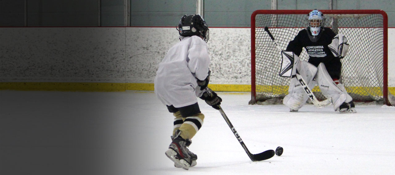 Fall hockey program