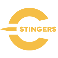 Image result for concordia university stingers hockey logo