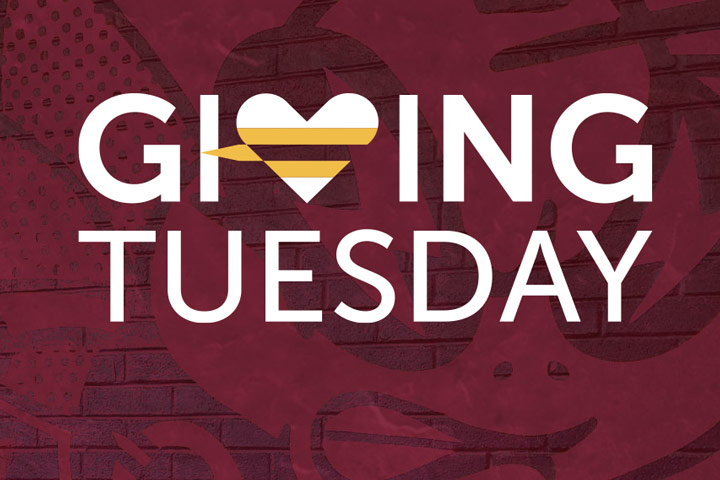 Your gift to the Stingers matters - Giving Tuesday is next week