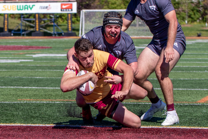 The Stingers are heading to Kingston, Ont. and a showdown with the Queen's Gaels.