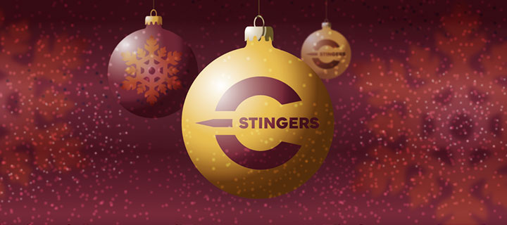 Get into the holiday spirit by skating with the Stingers