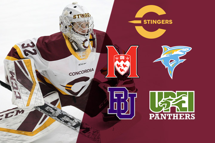 Top women's hockey teams to battle Stingers Dec. 28-30